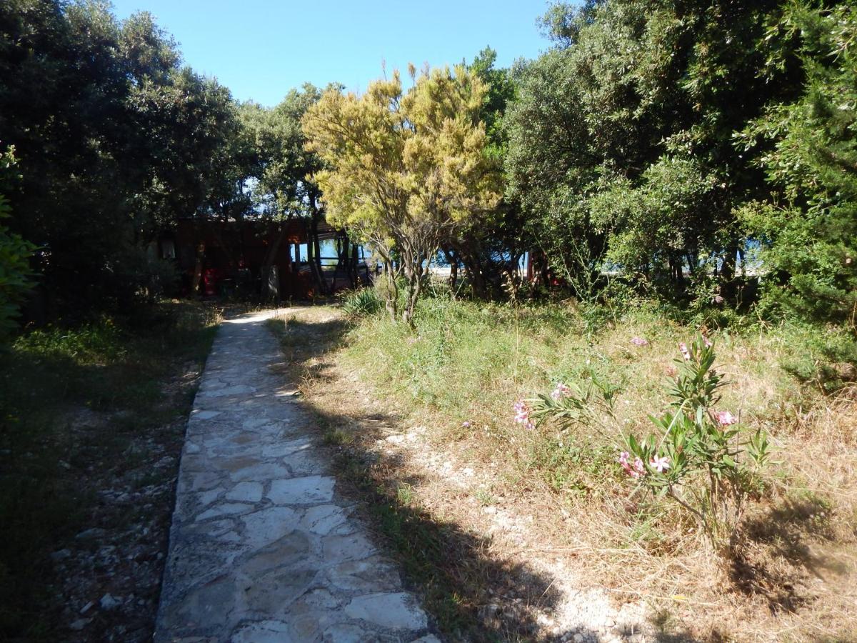 Apartman Duje Петркане Екстериор снимка